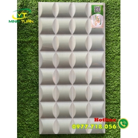 Gạch trang trí 25x50 HPD250318