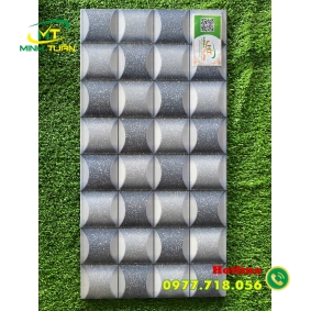 Gạch trang trí 25X50 HPD250323