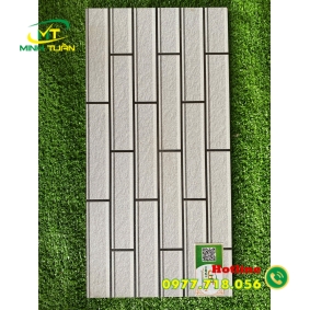Gạch trang trí 25x50 NK25504