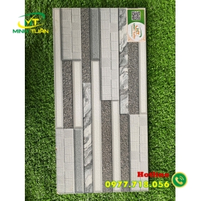 Gạch trang trí 25x50 TTP25202