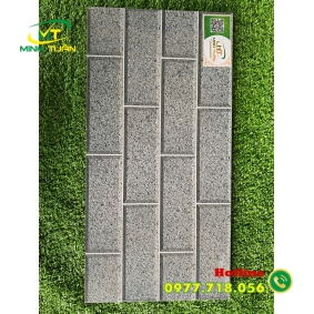 Gạch trang trí 25x50 TTP25203