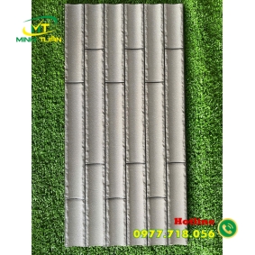 Gạch trang trí 25x50 VN7902