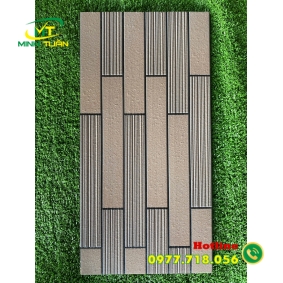 Gạch trang trí 25x50 VN988