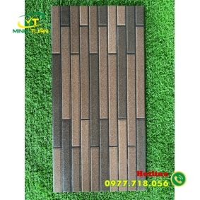 Gạch trang trí 25x50 VN9906