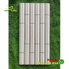 Gạch trang trí 25x50 VT2904