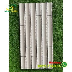 Gạch trang trí 25x50 VT7904