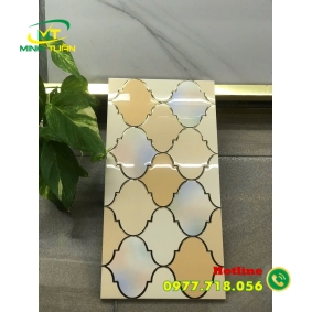 Gạch 30x60 36823
