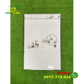 Gạch 30x60 AHPNC36001