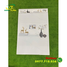 Gạch 30x60 CA368366