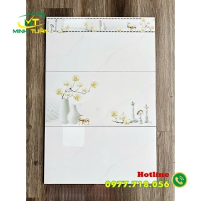 Gạch 30x60 đá mài bóng 070S4