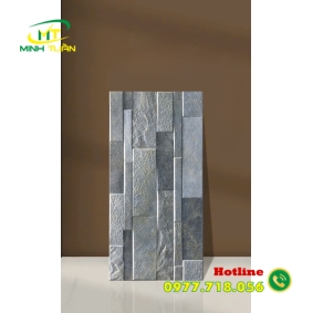 Gạch 30x60 K16309M