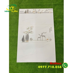 Gạch 30x60 MLR360080