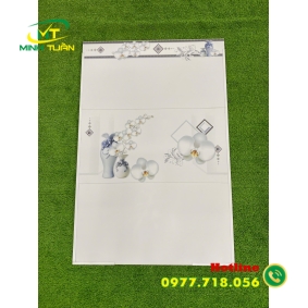 Gạch 30x60 MLR360082