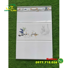 Gạch Ốp Tường 30x60 MT3605
