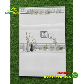 Gạch Ốp Tường  30x60 MT360k