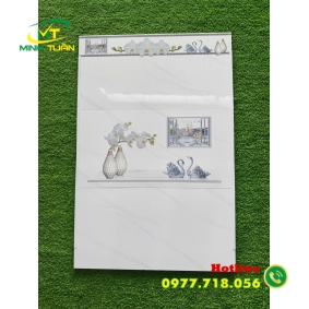 Gạch Ốp Tường 30x60 MT362K