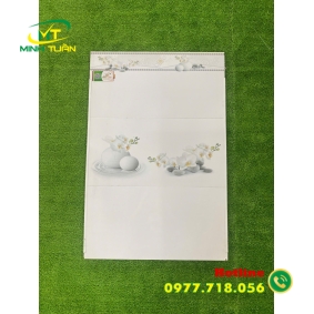 Gạch 30x60 THPCGC39003
