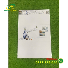 Gạch 30x60 THPWA13600