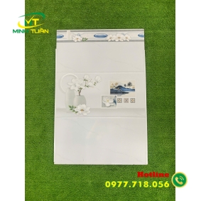 Gạch 30x60 THPWBNC36164