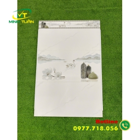 Gạch 30x60 THPWGHC3601