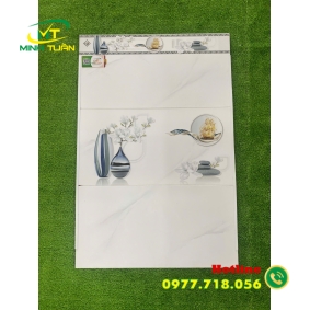 Gạch 30x60 THPWGHC3606