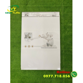 Gạch 30x60 THPWGHC3606V1