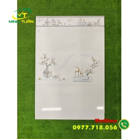 Gạch 30x60 THPWMT3601