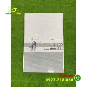 Gạch 30x60 THPWSGC3607