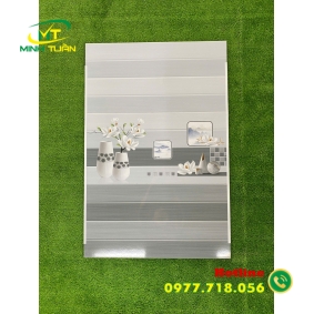 Gạch 30x60 THPWSGC3609