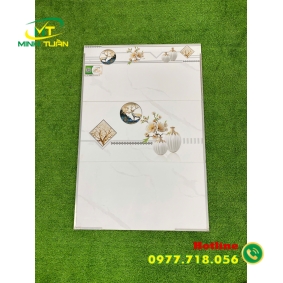 Gạch 30x60 TRM36401