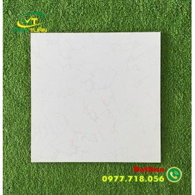 Gạch 40x40 MT4801