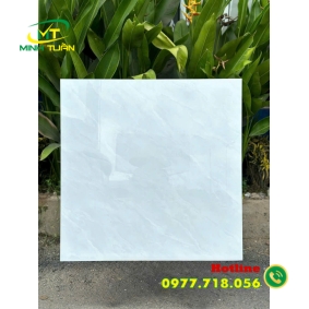 Gạch 80x80 58901