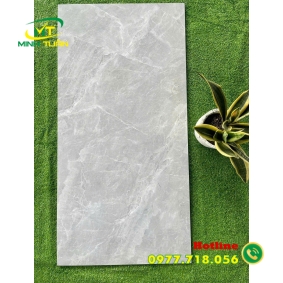 Gạch 60x1200 BD12005