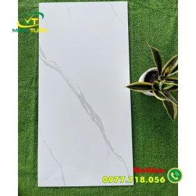 Gạch 60x1200 BD121001