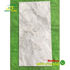 Gạch 60x1200 BD1643