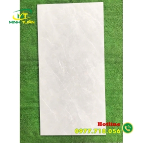 Gạch 60x1200 BD1650