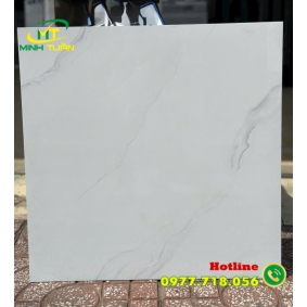 Gạch 60x60 Đá đồng chất 04