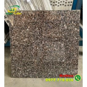 Gạch 60x60 Đá đồng chất 13