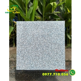 Gạch 60x60 TK114S3