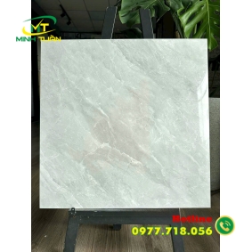 Gạch 60x60 TK148S3