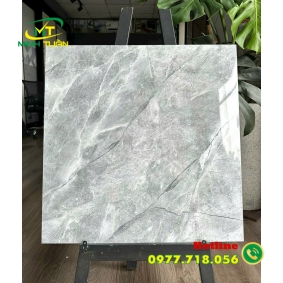 Gạch 60x60 TK149S3