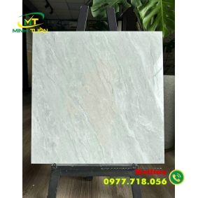 Gạch 60x60 TK153S3