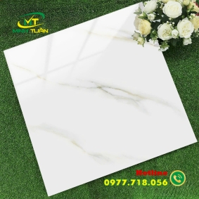 Gạch 60x60 TK6650N