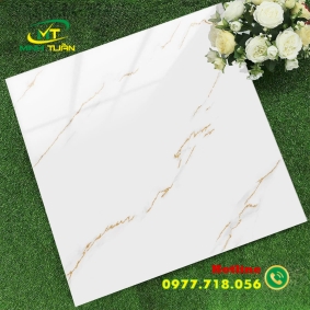 Gạch 60x60 TK6651N