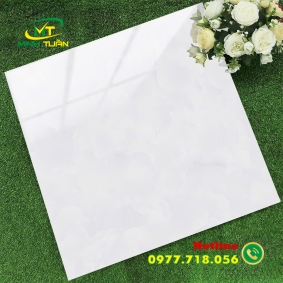 Gạch 60x60 TK6652N