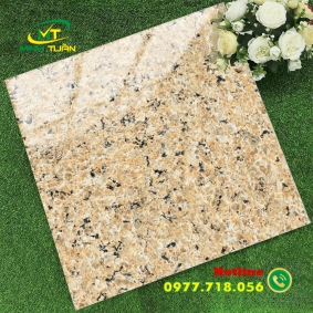 Gạch 60x60 TK6653D