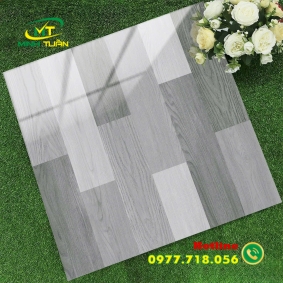 Gạch 60x60 TK6656N