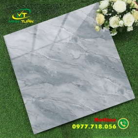 Gạch 60x60 XK6669N