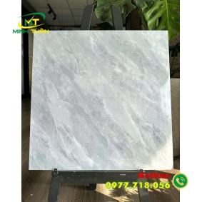 Gạch 60x60 TK151S3
