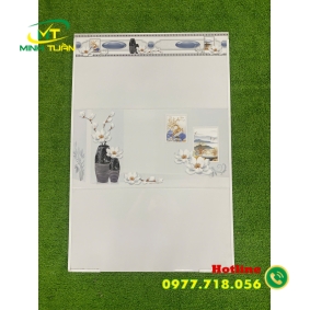 Gạch 30x60 CA368350